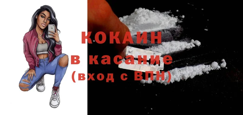 продажа наркотиков  Вилючинск  Cocaine FishScale 